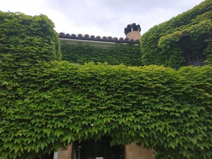 Hotel La Posada De Lalola Buera Екстериор снимка